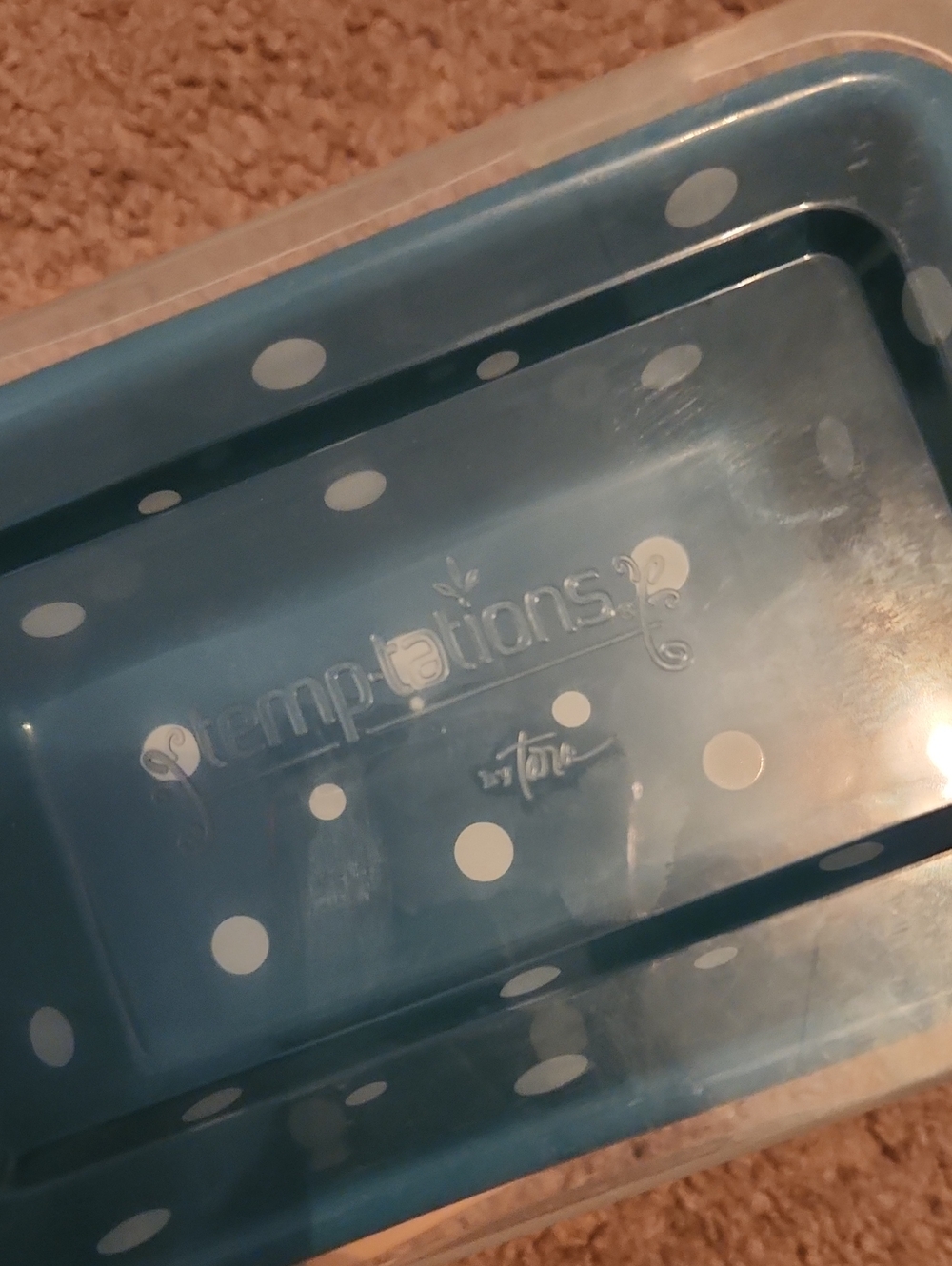 Temp-Tations Teal Polka Dot Food Storage Dish